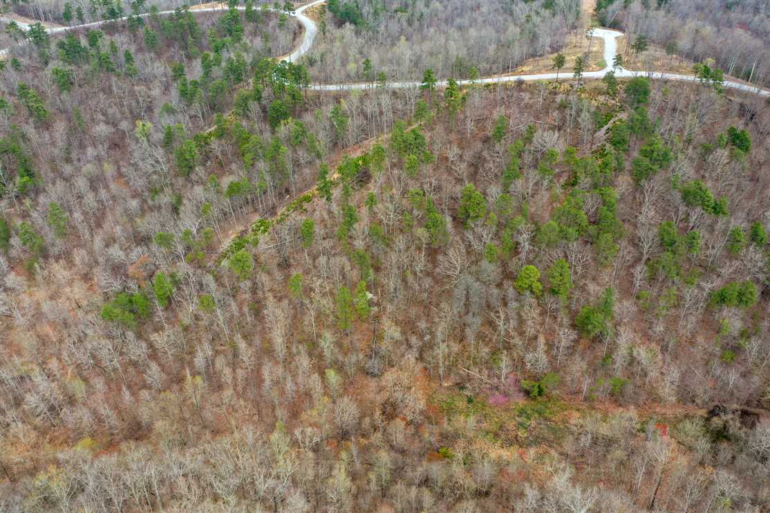Amazing views of Kentucky Lake! 5 or 11 acre building site in Humphreys County, TN Real estate listing