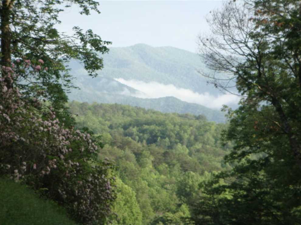 Ranchland real estate available to buy