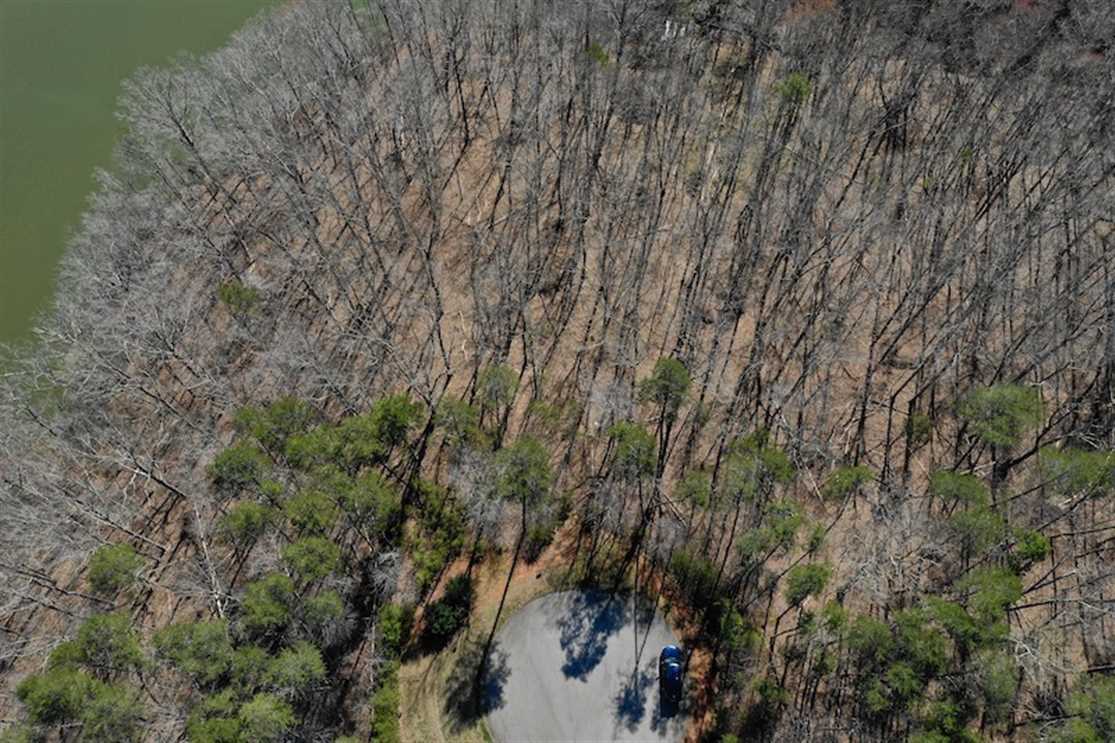 0.95 Acres of Land for sale in pittsylvania County, Virginia