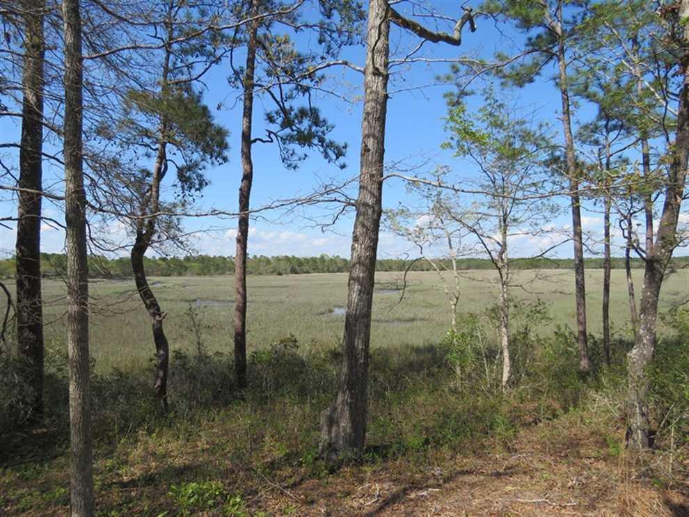 brunswick County, North Carolina property for sale