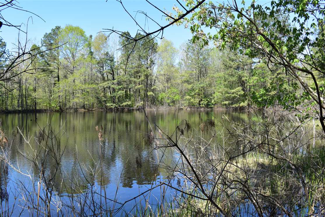Property for sale at Berry Road