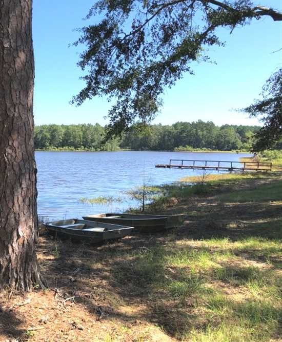 Property for sale at 2054 Pineywoods Road