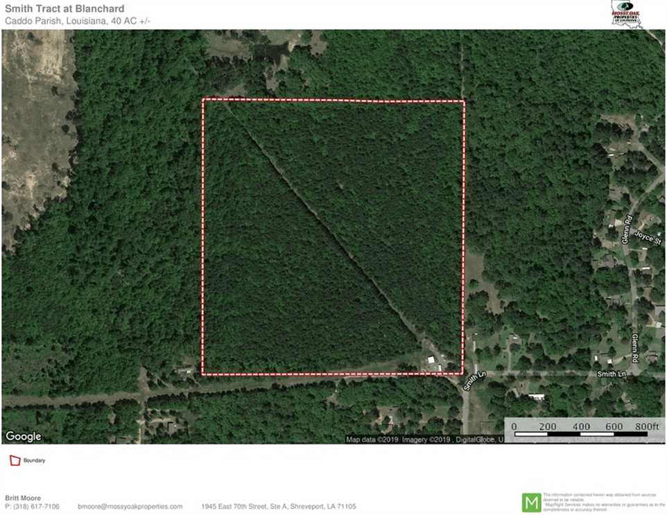 Smith Lane Tract, Caddo Parish, 40 Acres +/- Real estate listing