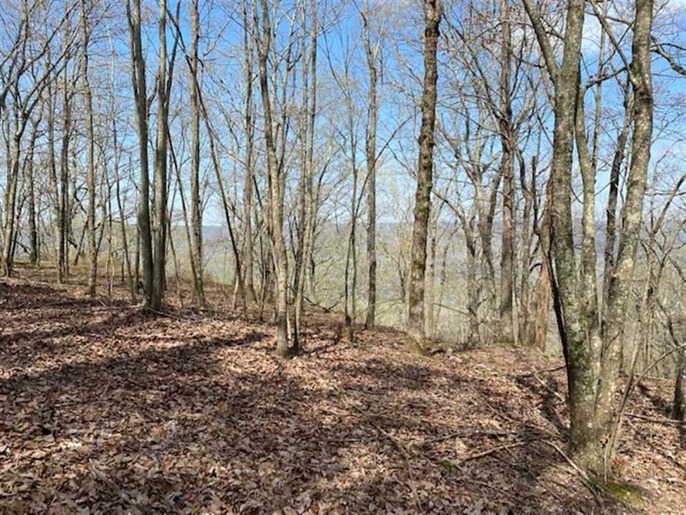 69.01 Acres of Residential land for sale in South Pittsburg, marion County, Tennessee