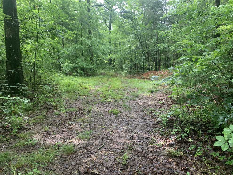 0.5 Acres of Residential land for sale in Pangburn, cleburne County, Arkansas