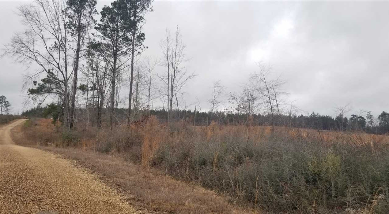 Switch Grass Tract, Winn Parish, 40 Acres +/- Real estate listing