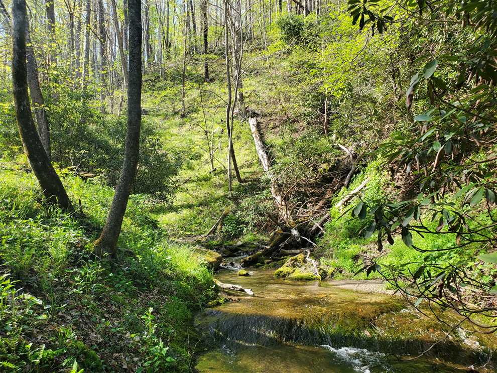 caldwell County, North Carolina property for sale