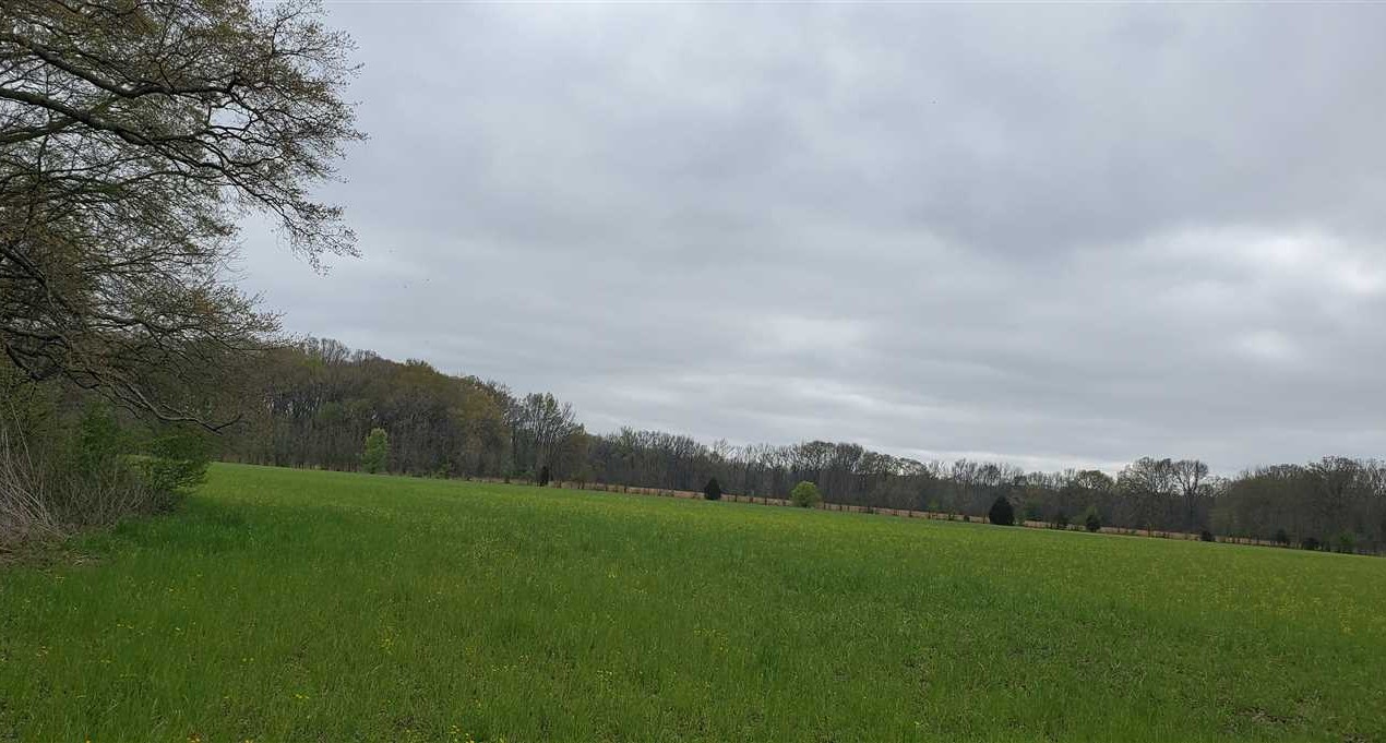 Property for sale at