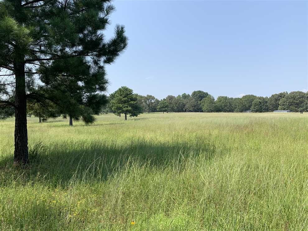 11 Cleared acres Hwy 13 Frontage Real estate listing