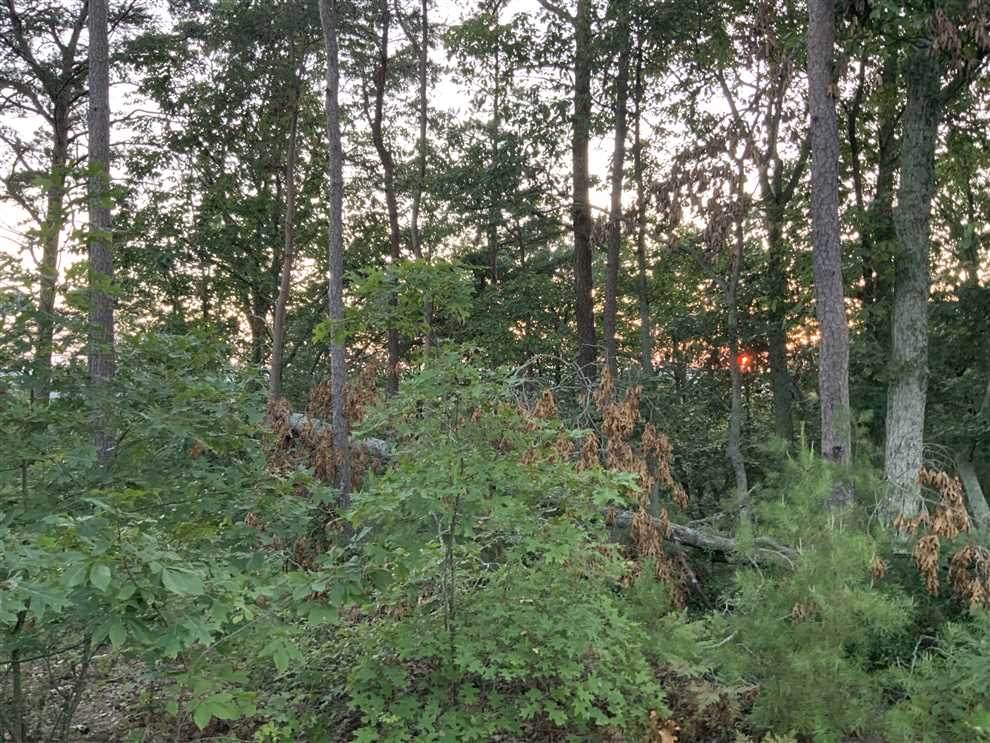 property for sale on The Land Market