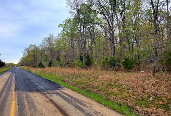 49 Acres of Land for Sale in ripley County Missouri