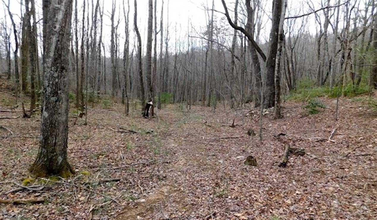 Land for sale at Off Pine Spur Ln.