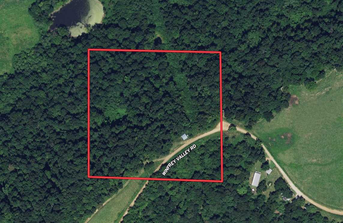 Timberland real estate available to buy