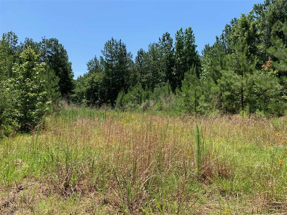 Property for sale at
