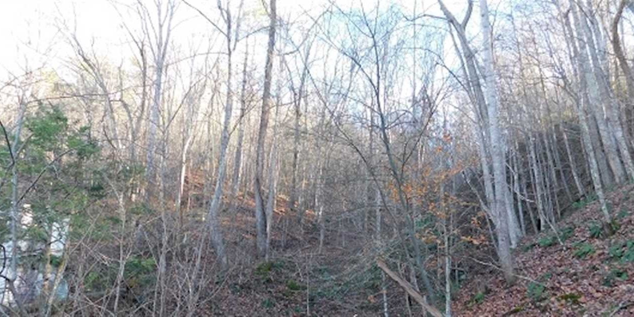 Residential land real estate to buy in pulaski County VA