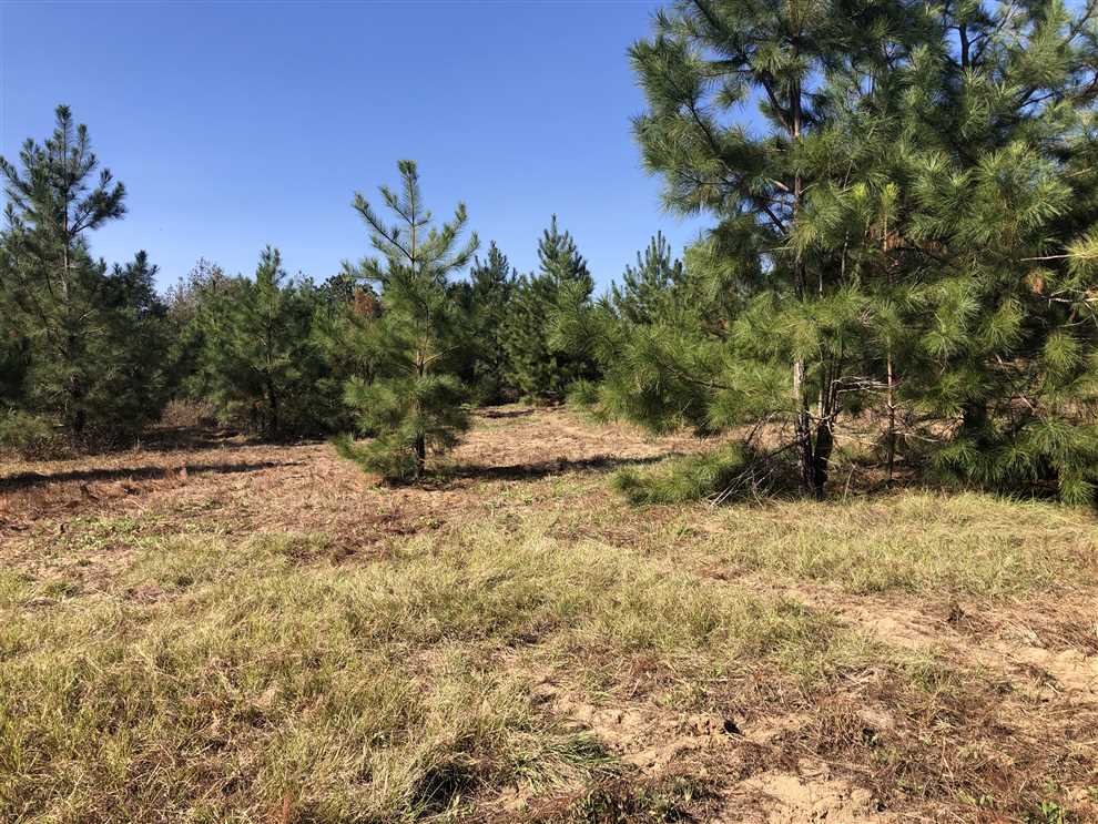Houses and land for sale in Georgia