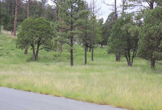 3.22 Acres of Land for Sale in lincoln County New Mexico