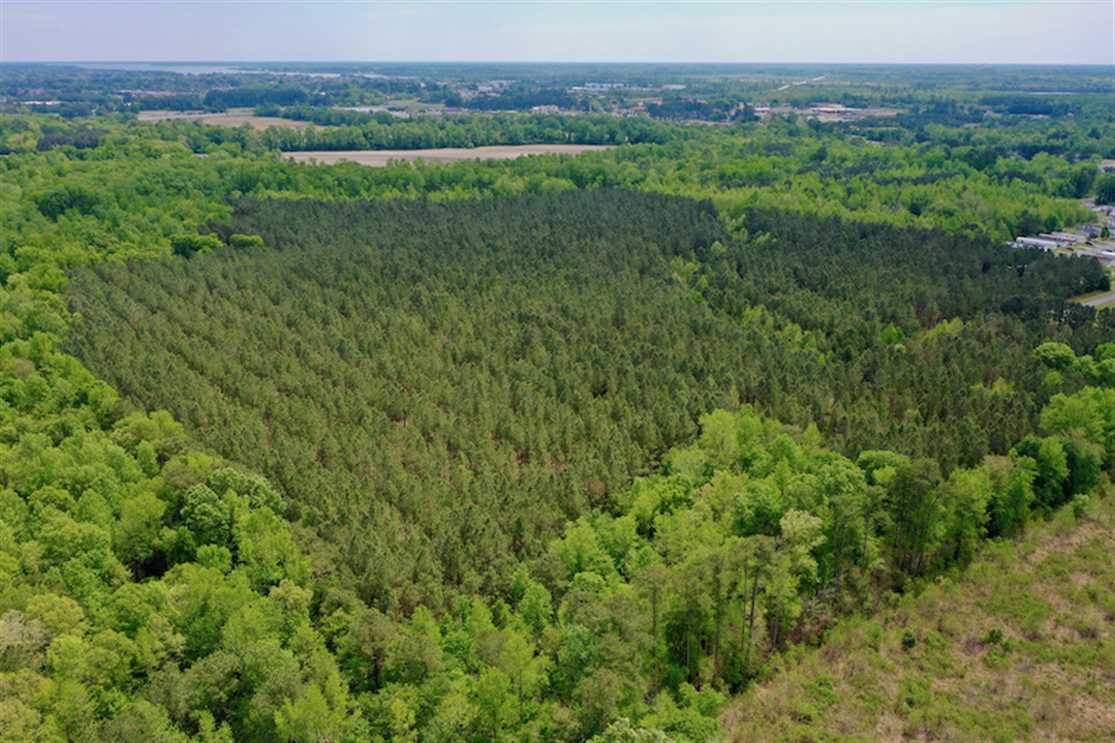 Land for sale to buy in 27889 zip code