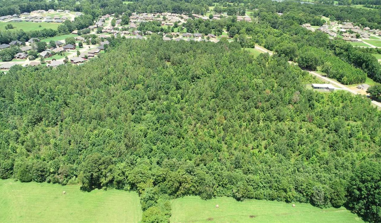 Residential land real estate to buy in lee County MS