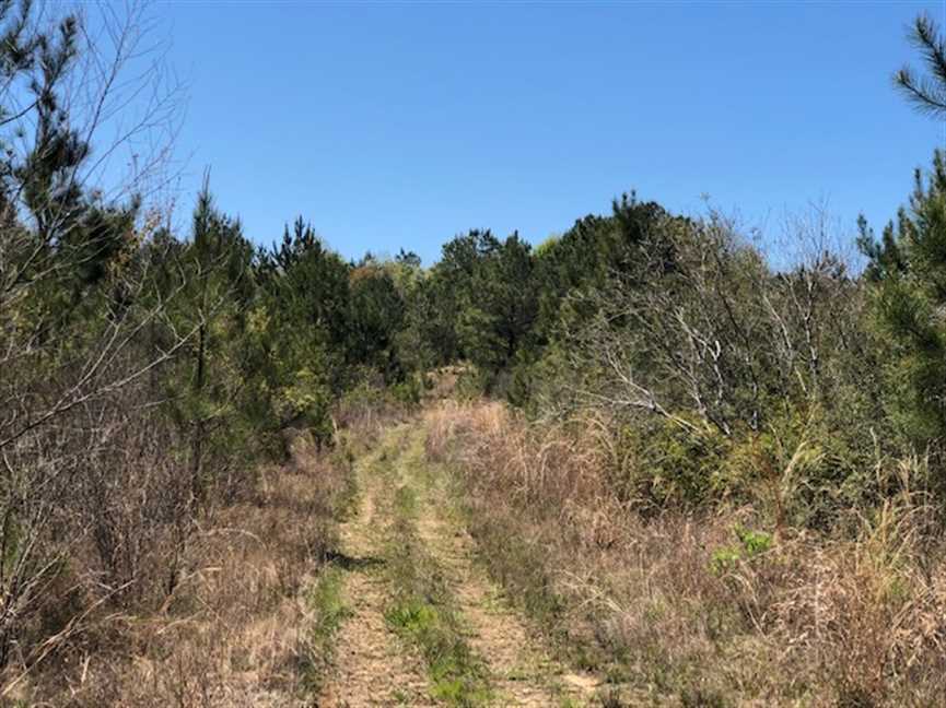 71 Acres of Residential land for sale in Leakesville, greene County, Mississippi