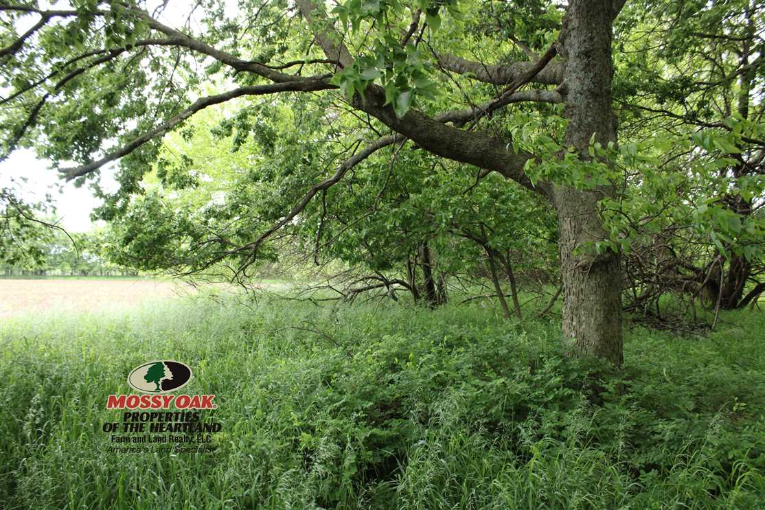 Land for sale at