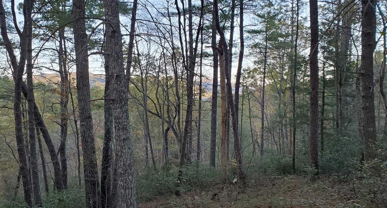 Land for sale to buy in 28611 zip code