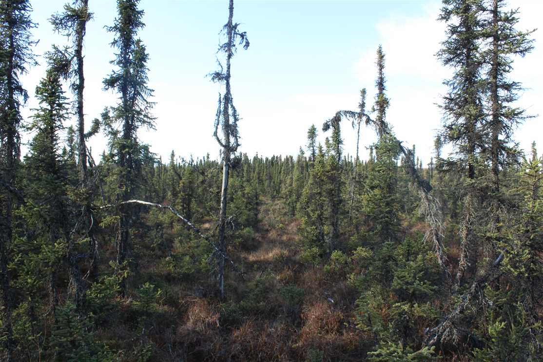 2.6 Acres of Residential land for sale in Soldotna, kenai peninsula County, Alaska