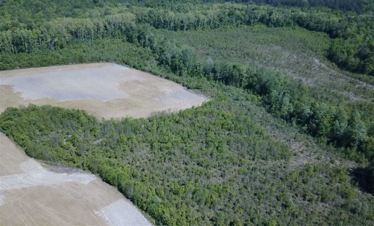 47 ACRES - GREAT OPPORTUNITY FOR HOME SITE AND HUNTING IN RURAL SUFFOLK VIRGINIA! Real estate listing