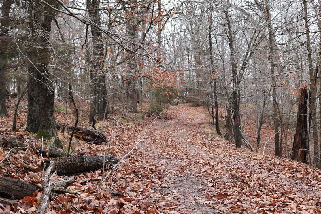 5 Acres of Recreational land for sale in rogers, benton County, Arkansas
