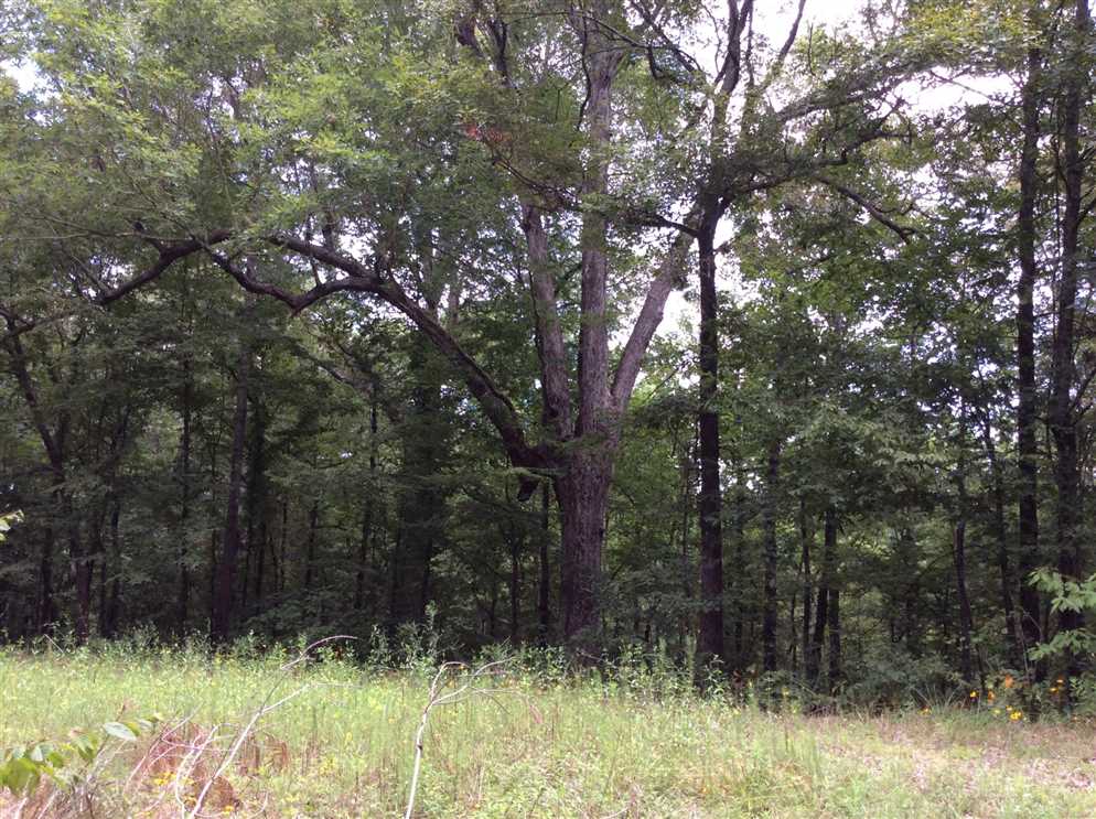 Houses and land for sale in Louisiana