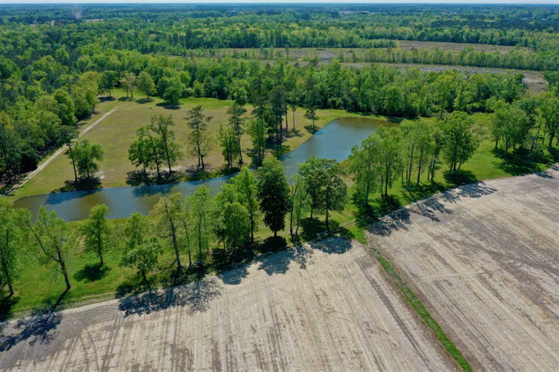 Residential and   property for sale on The Land Market