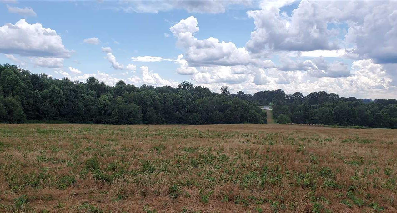 35.52 Acres of Residential land for sale in Newton, catawba County, North Carolina