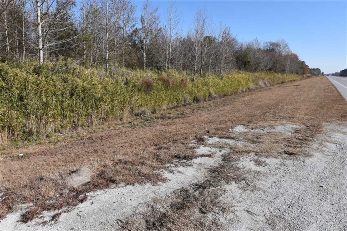 93.87 Acres of Recreational land for sale in Greenville, pitt County, North Carolina