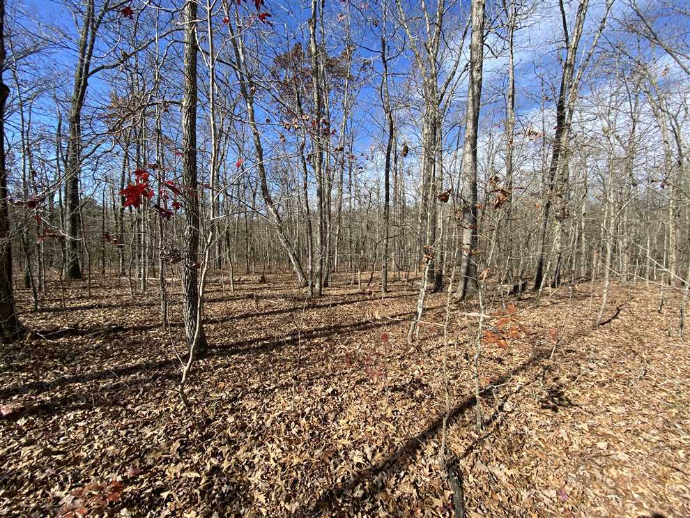 Recreational real estate available to buy