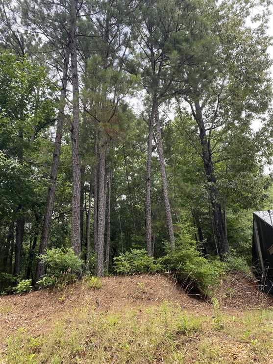 15.59 Acres of Timberland land for sale in Northport, tuscaloosa County, Alabama