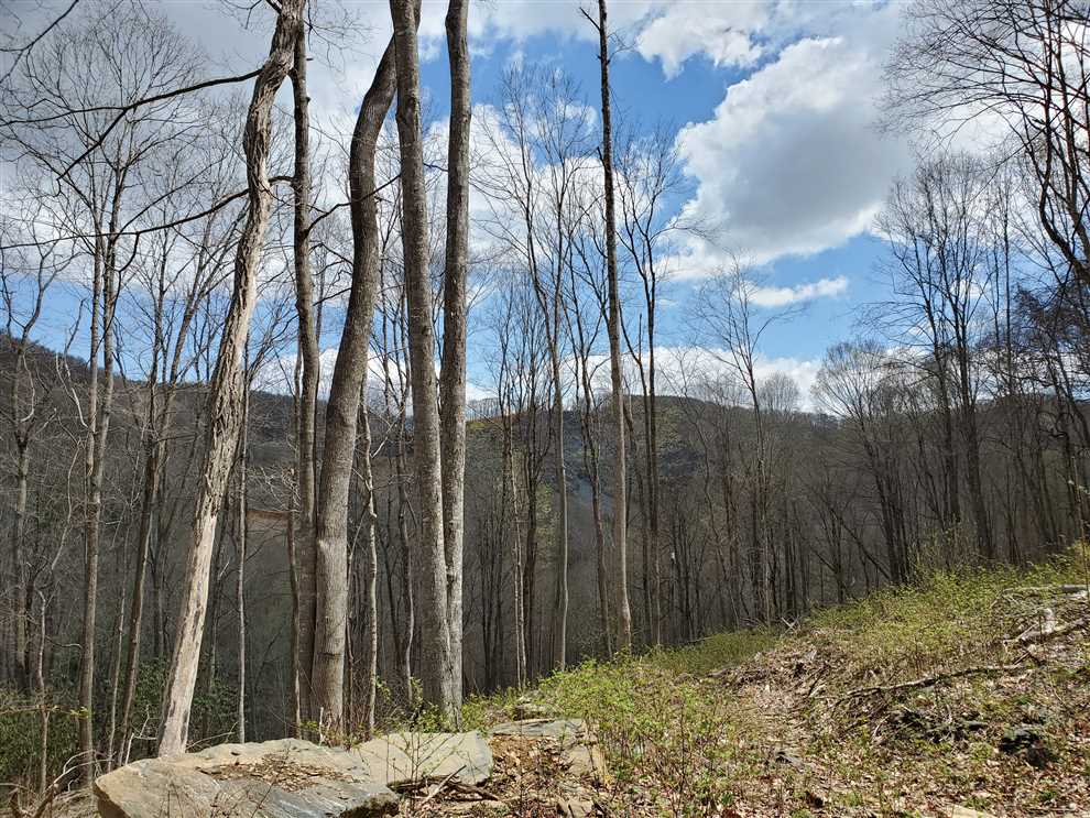17.26+/- acres in West Jefferson, Ashe County Real estate listing