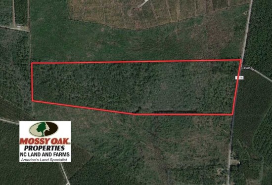 92.6 Acres of Land for Sale in martin County North Carolina
