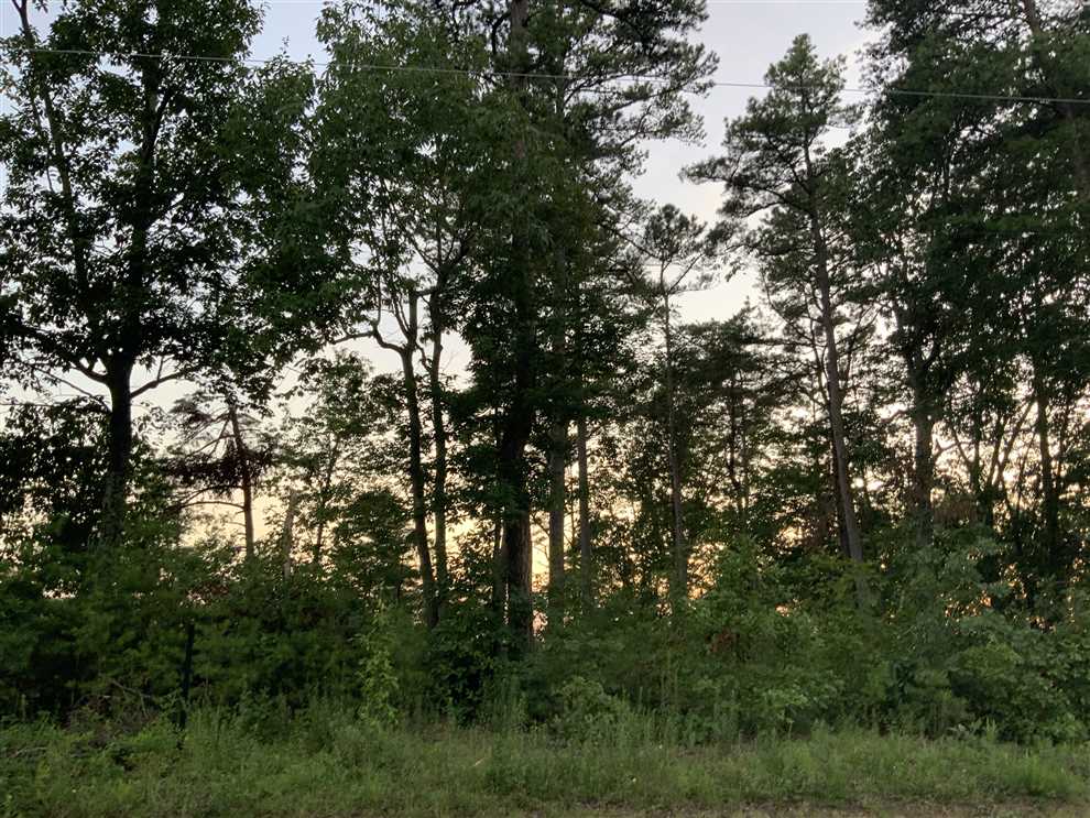 Property for sale at 0 Skyline Drive The Summit Lot 205