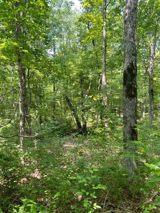 5.81 Acres of Residential land for sale in Altamont, grundy County, Tennessee