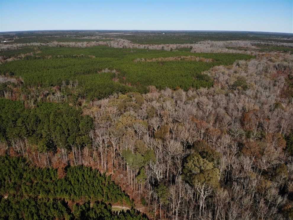 sussex County, Virginia property for sale