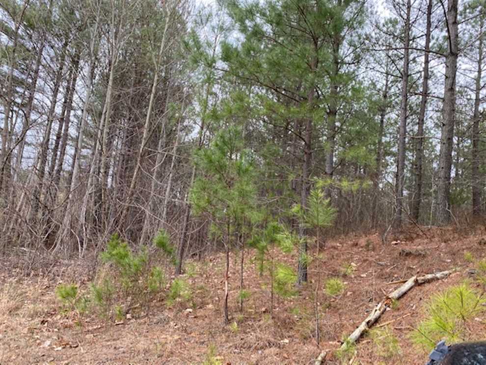 6.1 Acres of Residential land for sale in South Pittsburg, marion County, Tennessee