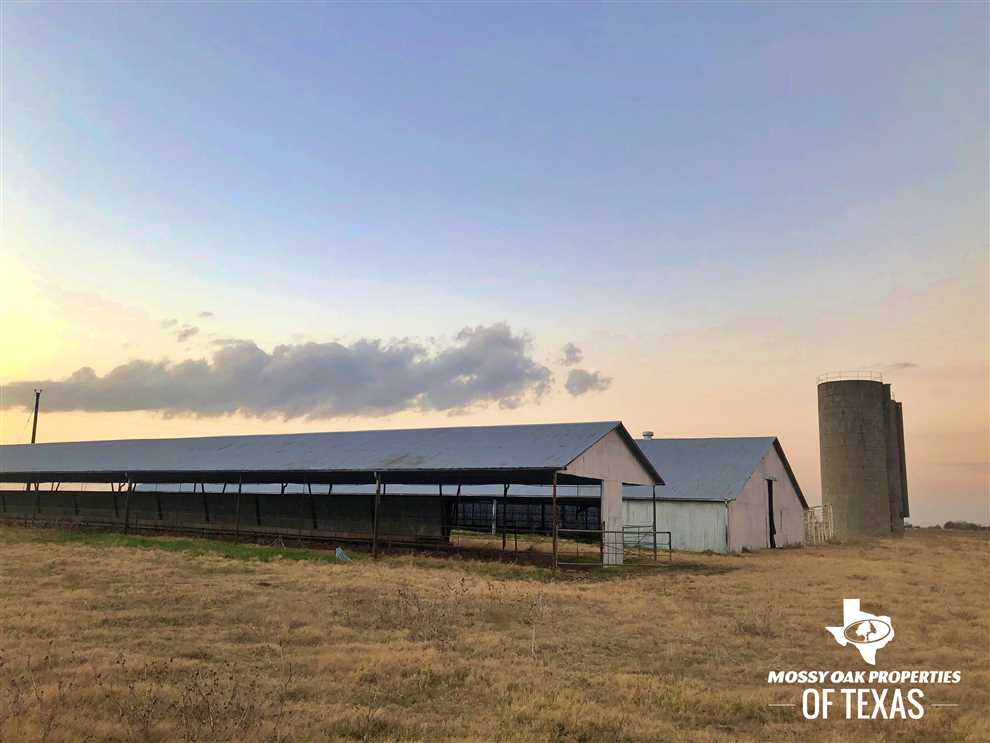 Houses and land for sale in Texas