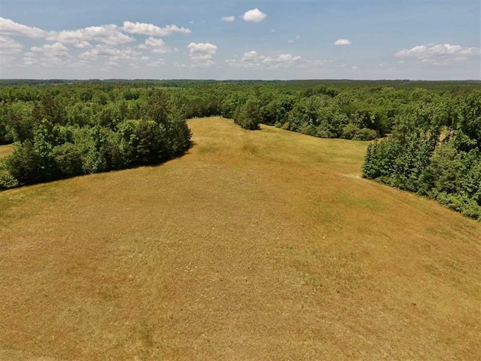 19.24 Acres of Timber and Hunting Land For Sale in Warren County, NC! Real estate listing