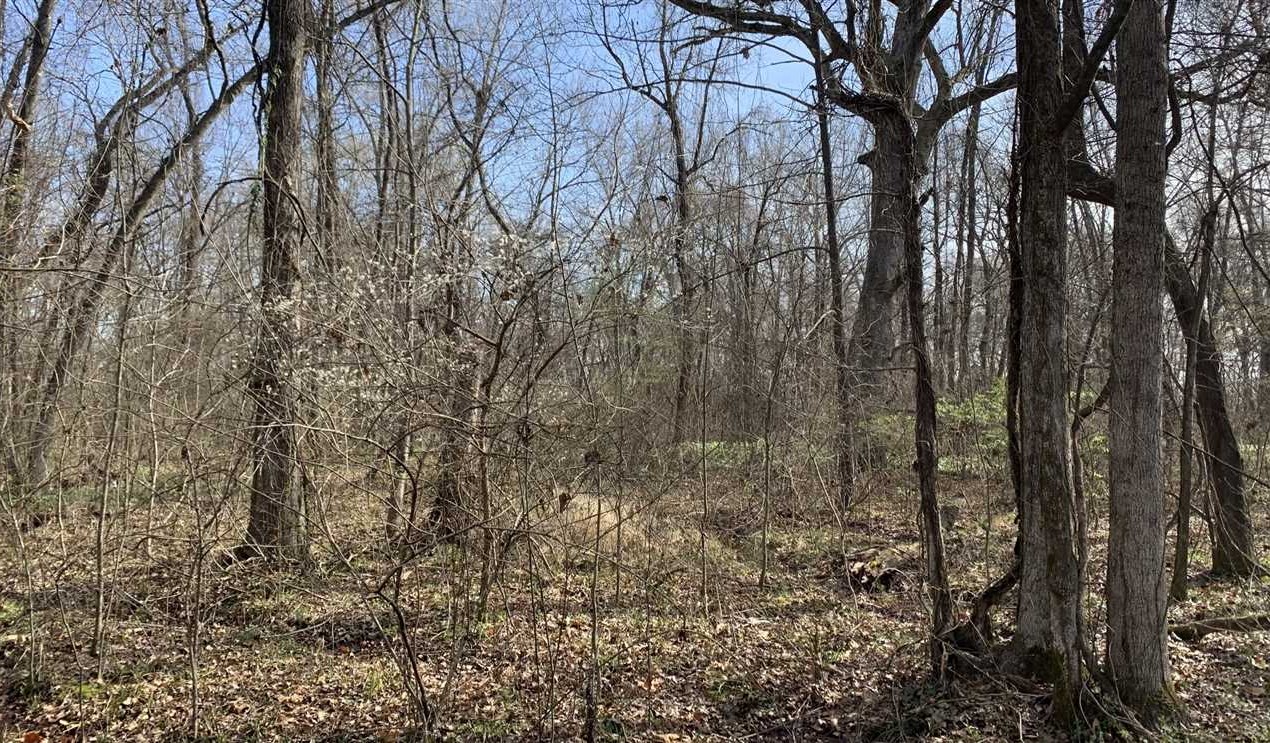 Houses and land for sale in Arkansas