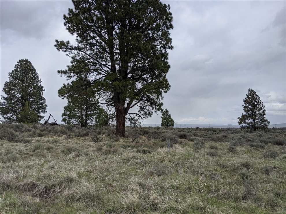 184.19 Acres of Land for sale in klamath County, Oregon