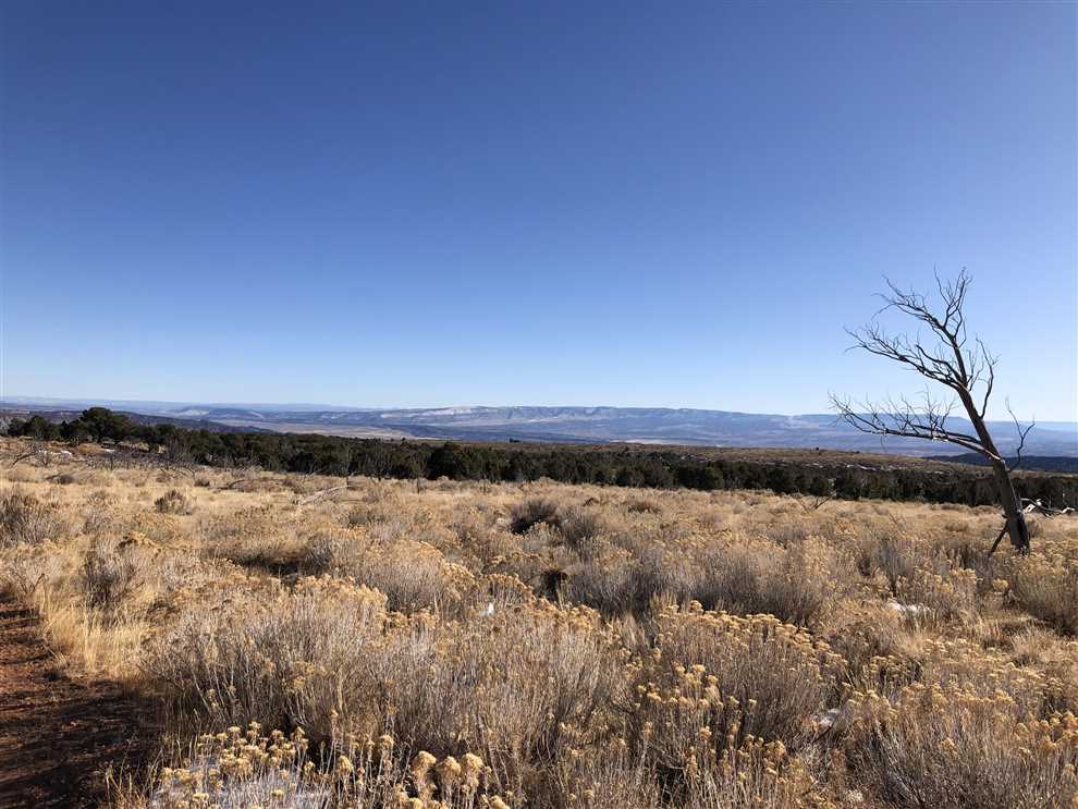 320.42 Acres of Land for sale in moffat County, Colorado