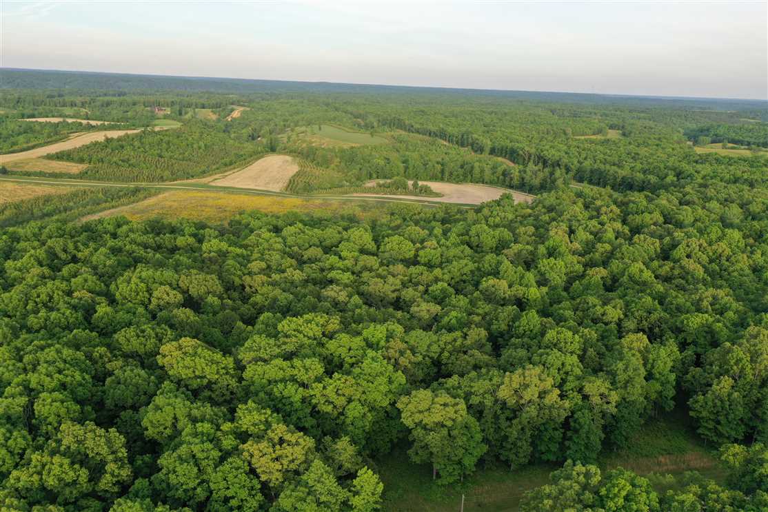 Secluded 5 acre tract located near the Buffalo River, minutes from Kentucky Lake and I-40! Real estate listing