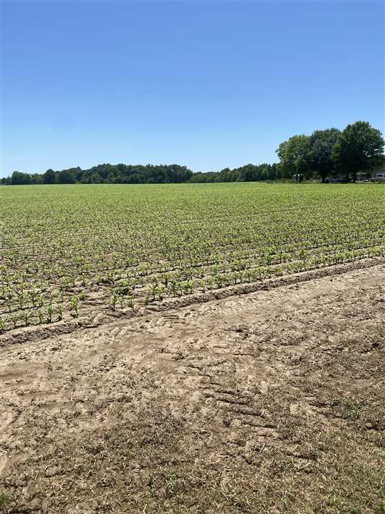 Ranchland real estate available to buy