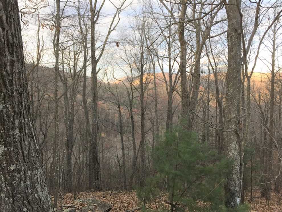 Land for sale at 00 Wintergreen Patch Lane