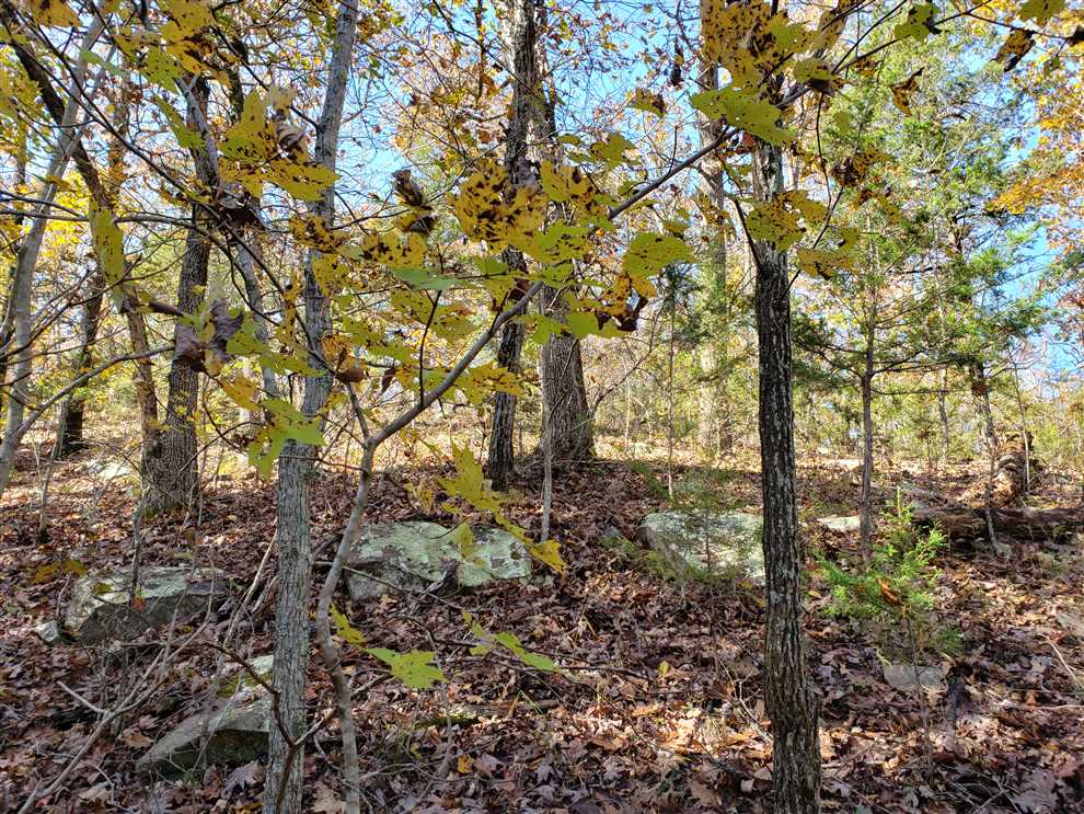 Property for sale at